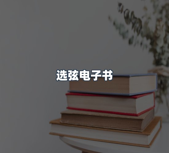 关于选弦电子书